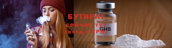 шишки Медвежьегорск