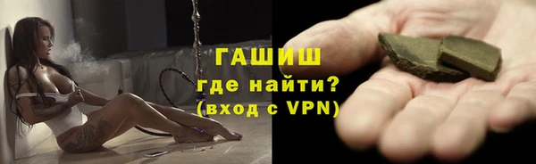 шишки Медвежьегорск