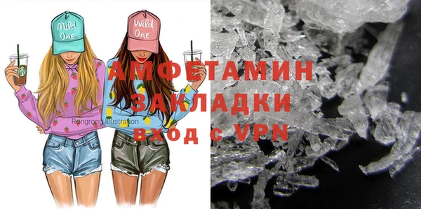 шишки Медвежьегорск