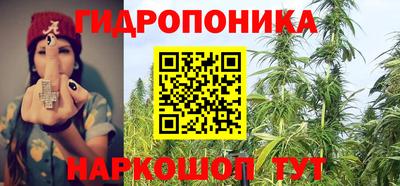 амф Дубна