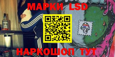 амф Дубна