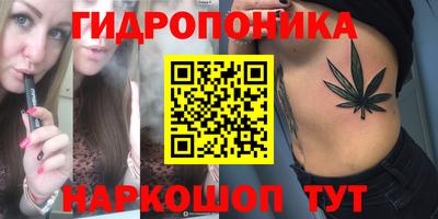 амф Дубна