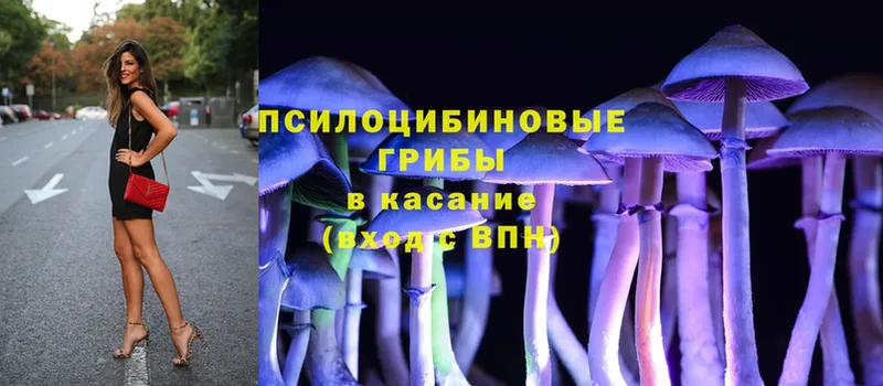 Галлюциногенные грибы Magic Shrooms  ссылка на мегу онион  Карасук 