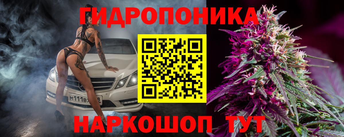 Бошки Шишки Карасук